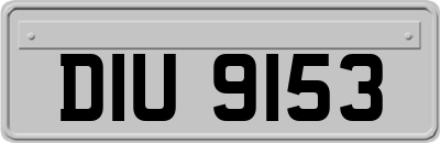 DIU9153