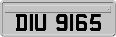 DIU9165