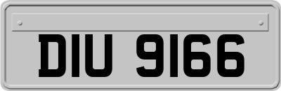 DIU9166