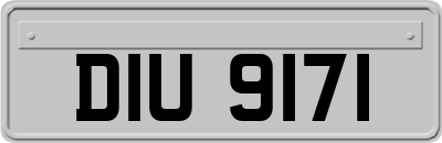 DIU9171