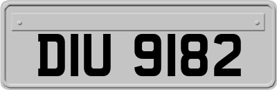 DIU9182