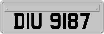 DIU9187