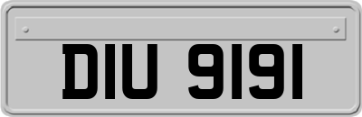 DIU9191