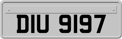 DIU9197