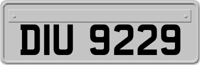 DIU9229
