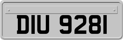 DIU9281
