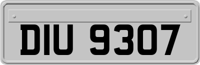 DIU9307
