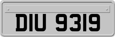 DIU9319