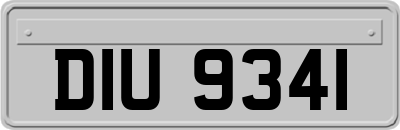 DIU9341