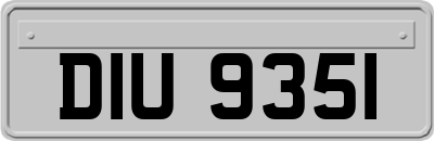 DIU9351