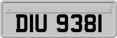 DIU9381