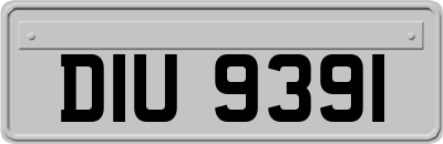 DIU9391