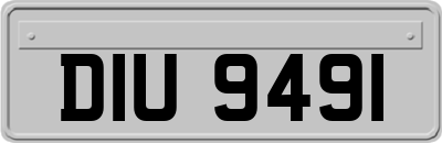 DIU9491
