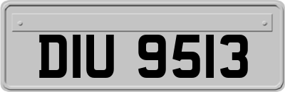 DIU9513