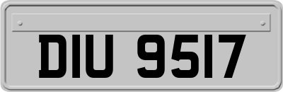 DIU9517