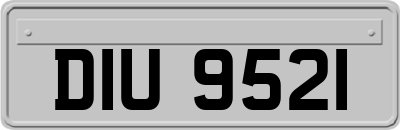 DIU9521