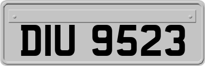 DIU9523