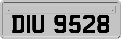 DIU9528