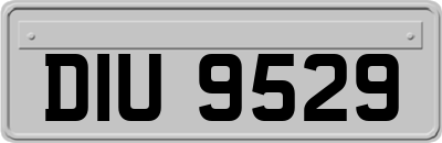 DIU9529