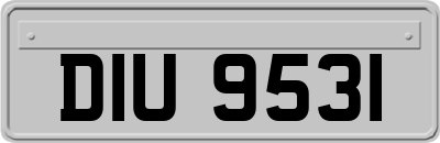 DIU9531