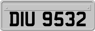 DIU9532