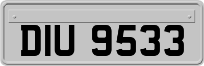 DIU9533