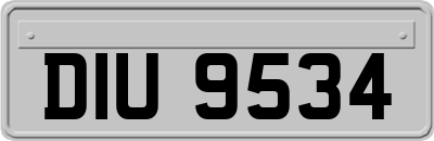 DIU9534