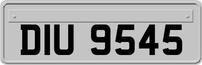 DIU9545