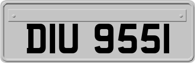 DIU9551