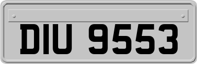 DIU9553