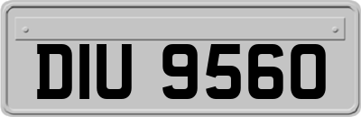 DIU9560