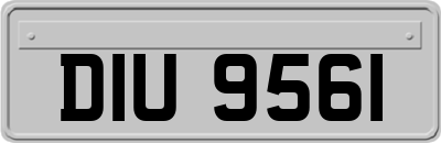 DIU9561