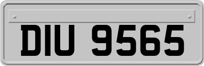 DIU9565