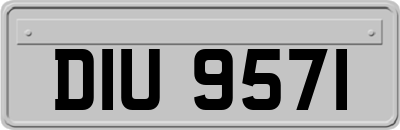 DIU9571
