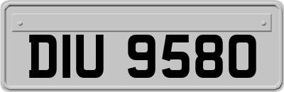 DIU9580
