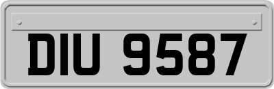 DIU9587