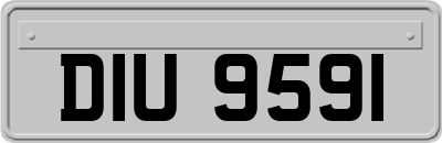 DIU9591