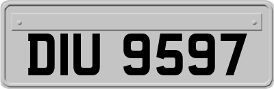 DIU9597