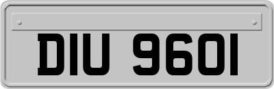 DIU9601