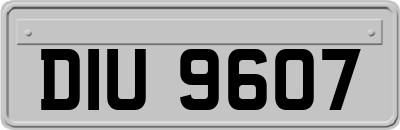 DIU9607