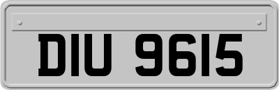 DIU9615