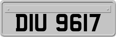 DIU9617