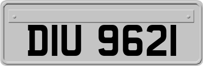 DIU9621