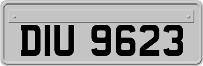 DIU9623