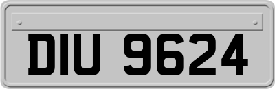 DIU9624