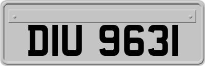 DIU9631