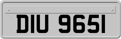 DIU9651