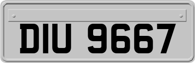 DIU9667
