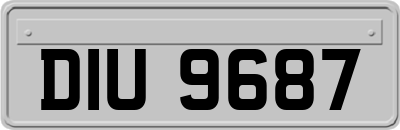 DIU9687