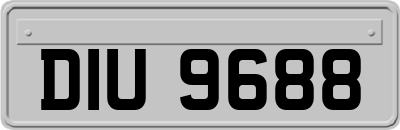 DIU9688
